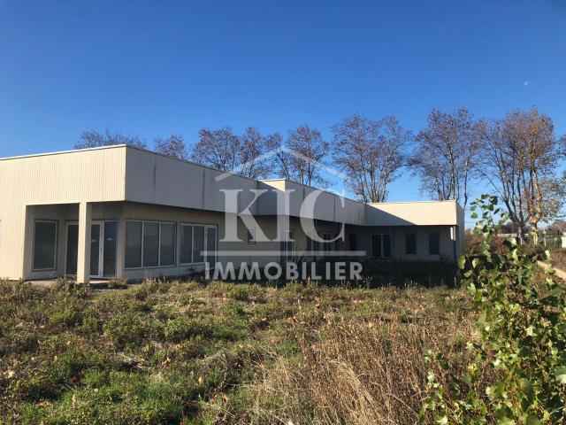 CARCASSONNE LOCAL 427 M2 TERRAIN 2000 M2