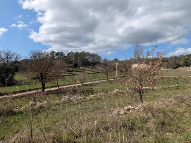 Carcès Vente Terrain 83