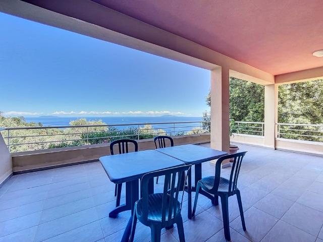 CARDO HAUTEURS DE BASTIA Emplacement privilégié F3