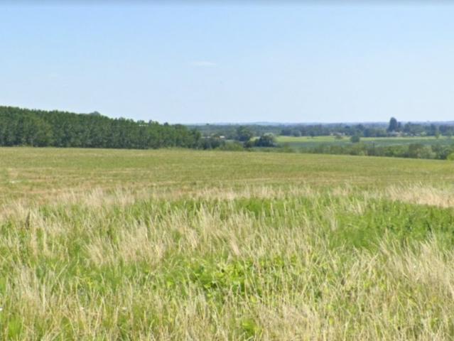 Carignan de Bordeaux Vente Terrain 33
