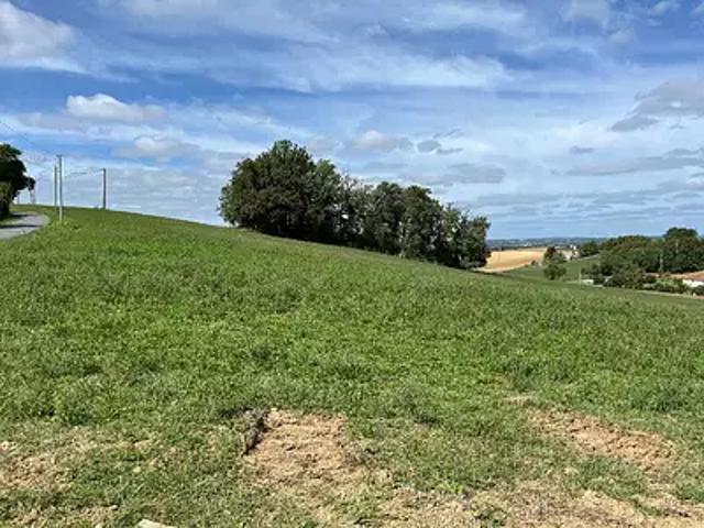 Carlus 81990 Programme neuf terrain neuf à vendre