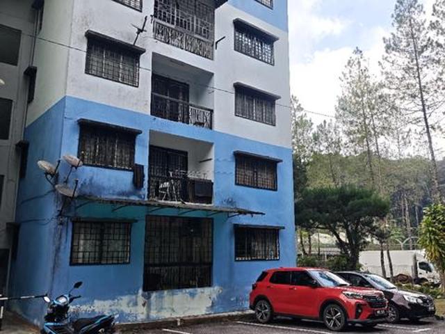 Carnation Park Flat Corner Unit