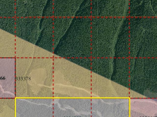 Carnes Creek Placer/gold Claim For Sale Tenure Number 1114399