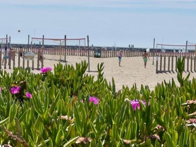 Carnon Plage Vente Appartement 34