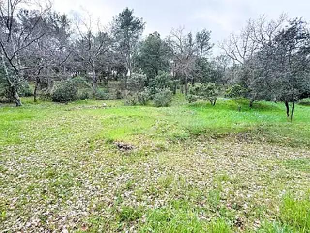 Carnoules 83660 Achat / Vente terrain