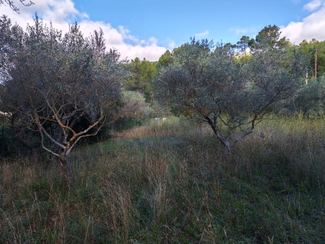 Carnoules Vente Terrain 83