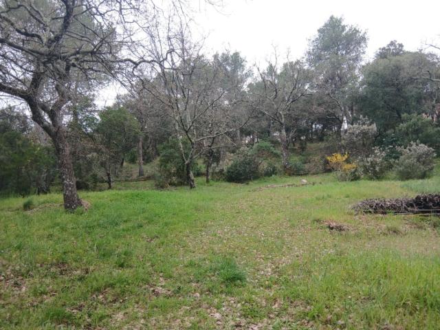 Carnoules Vente Terrain 83