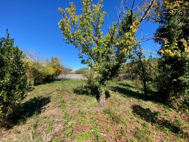 Carnoules Vente Terrain 83