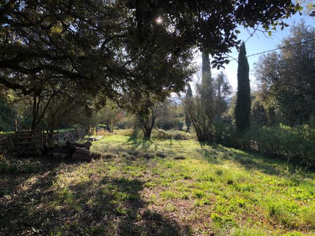 Carnoules Vente Terrain 83