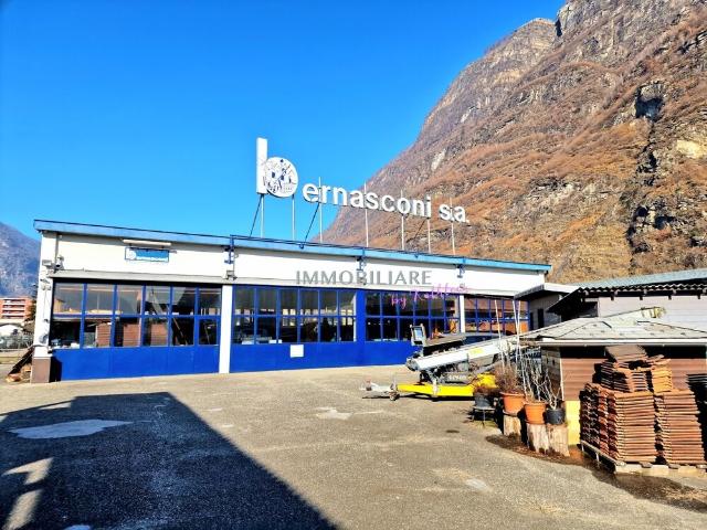 Carpenteria: Area produttiva nella zona industriale con capanna Dachd | dreamo. Ch