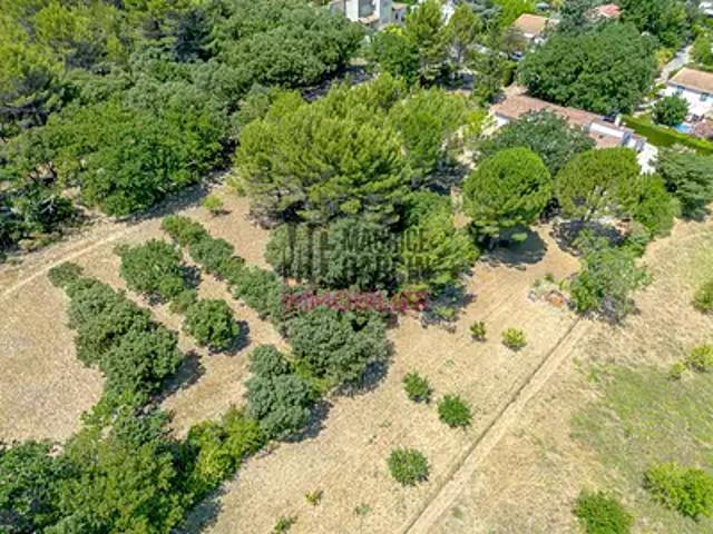 Carpentras 84200 Achat / Vente maison 7 pièces t7 terrasse parking