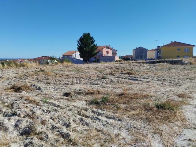 Carrazeda de Ansiães Bragança LS102251285