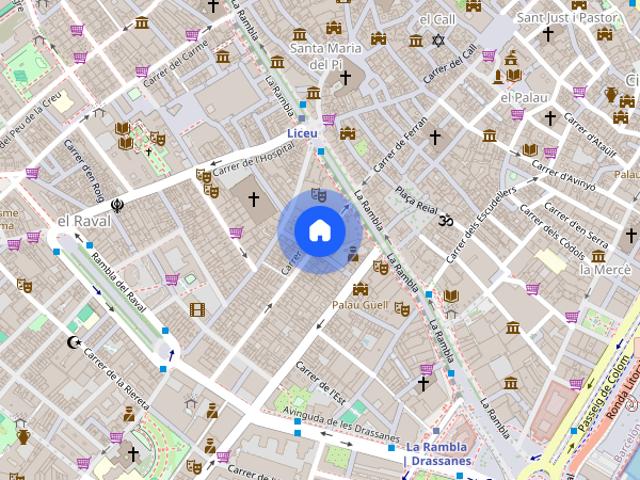 Carrer de la Unió, Barcelona, Catalonia 08001