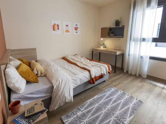 Carrer de l'Arquitecte Alfaro, Valencia, Valencian Community 46011