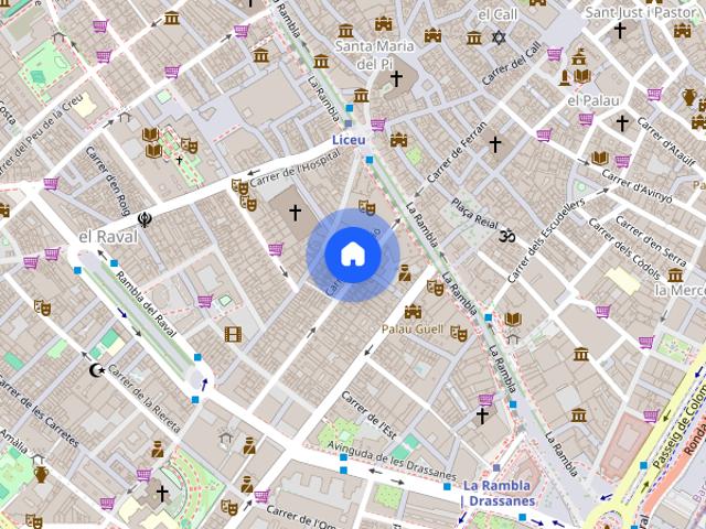 Carrer de les Penedides, Barcelona, Catalonia 08001