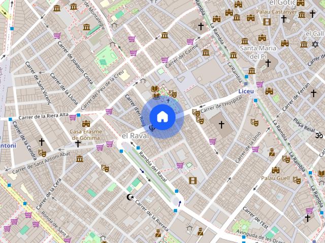 Carrer de l'Hospital, Barcelona, Catalonia 08001