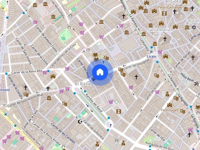 Carrer de l'Hospital, Barcelona, Catalonia 08001