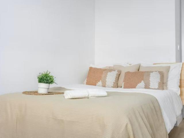 Carrer del Doctor Vicent Zaragoza, Valencia, Valencian Community 46020