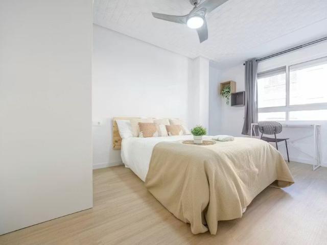 Carrer del Doctor Vicent Zaragoza, Valencia, Valencian Community 46020