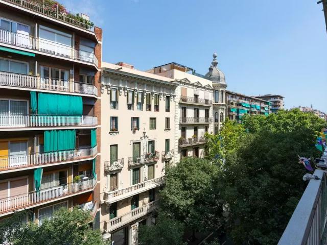Carrer del Rosselló, Barcelona, Catalonia 08037