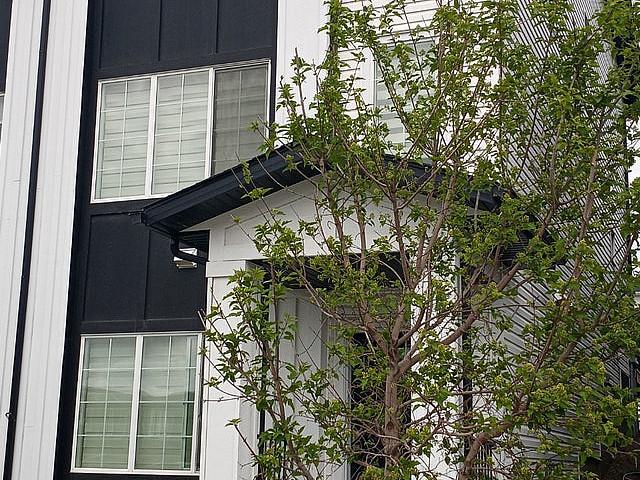 Carringvue, Nw Calgary, 3+bd Flexible Lease Options Avail Sept 1