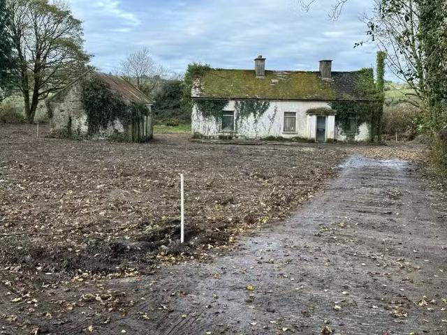 Carrickadorrish Aughnacliffe Co Longford, Aughnacliffe, Co. Lo.