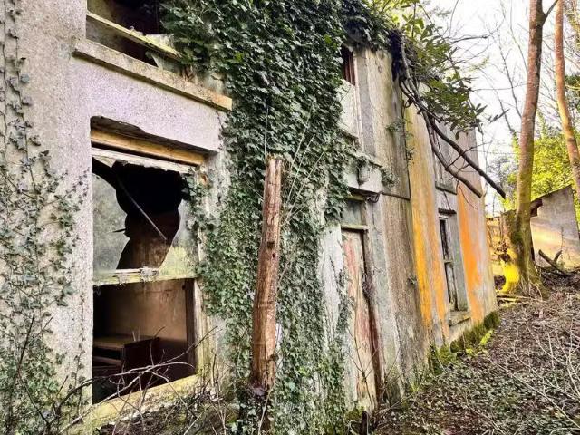 Carrigaphooca, Macroom, Co. Cork is for sale