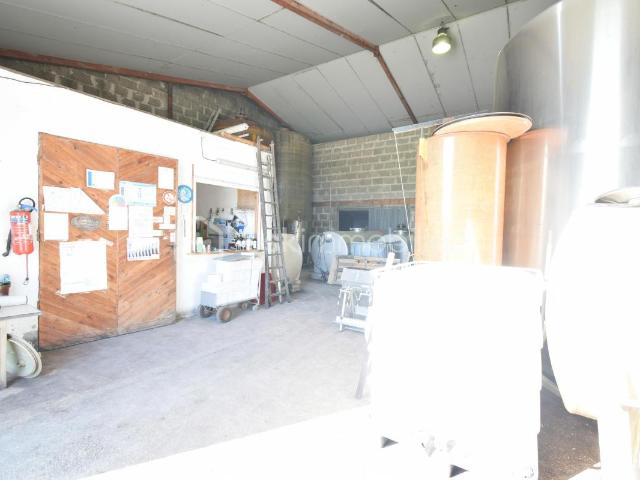 Cars Vente Immeuble 33