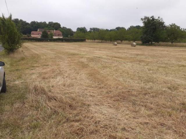 Carsac Aillac Vente Terrain 24