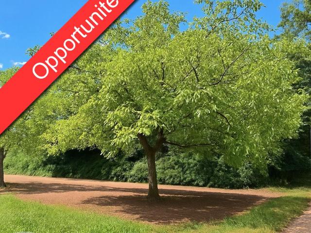 Carsac Aillac Vente Terrain 24