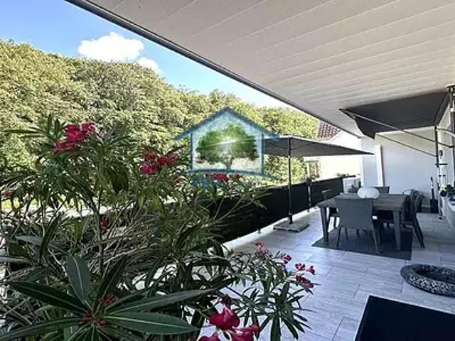 Carspach 68130 Achat / Vente maison 9 pièces t9 piscine