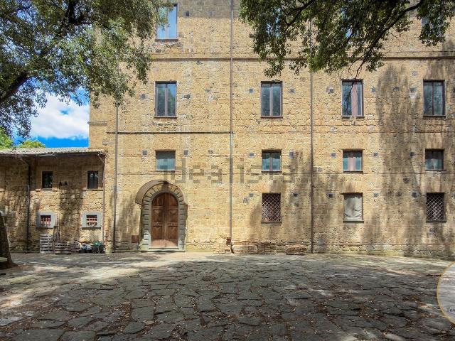 Castello in vendita di 1900 m²