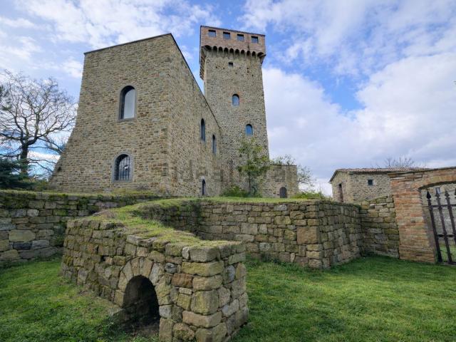 Castello in vendita di 1079 m² in Viale G. Matteotti, 65