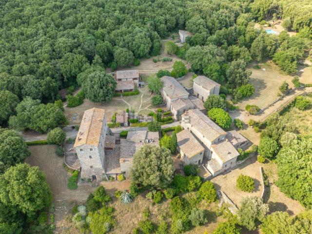 Castello in vendita di 3360 m² in Strada di Borgo Pretale