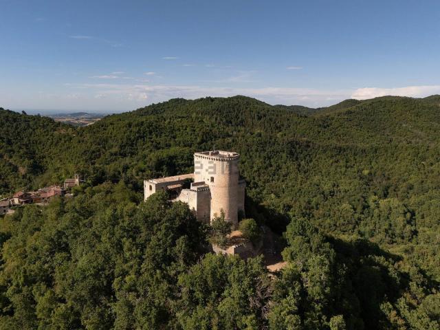 Castello in vendita di 800 m² in Località Oramala, 1