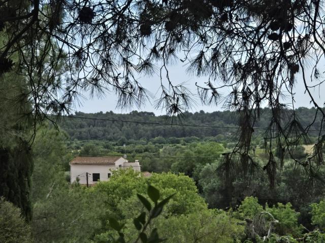 Castelnau de Guers, Terrain à bâtir Vue Dominante