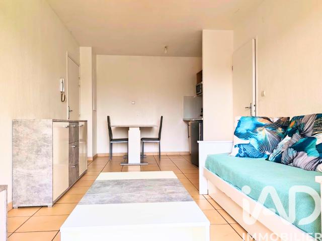 Castelnau d'Estrétefonds Location Appartement 31