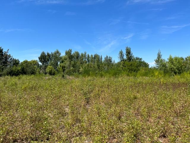 Castelnaudary Vente Terrain 11