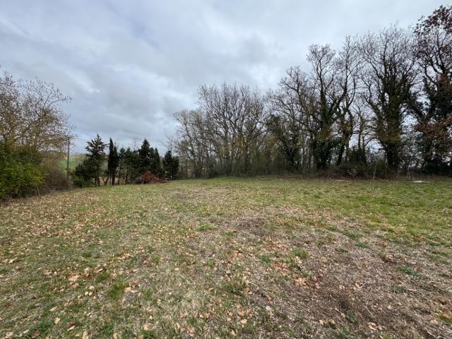 Castelnaudary Vente Terrain 11