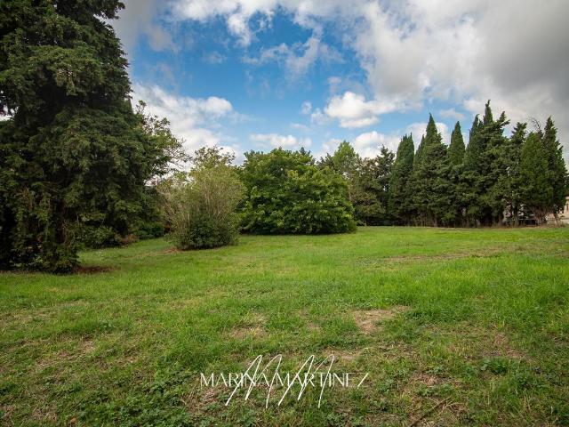 Castelnaudary Vente Terrain 11