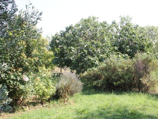 Castelnaudary Vente Terrain 11