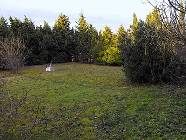 Castelnaudary 11400 Achat / Vente terrain
