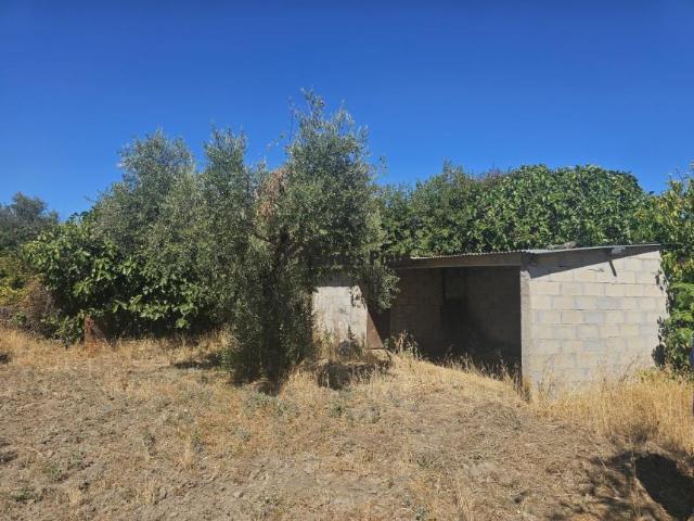 Castelo Branco Vila Velha de Ródão 6030 104824403