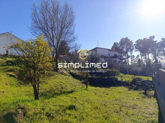 Castelo Branco Belmonte 6250 104824150