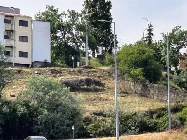 Castelo Branco Belmonte 103516423