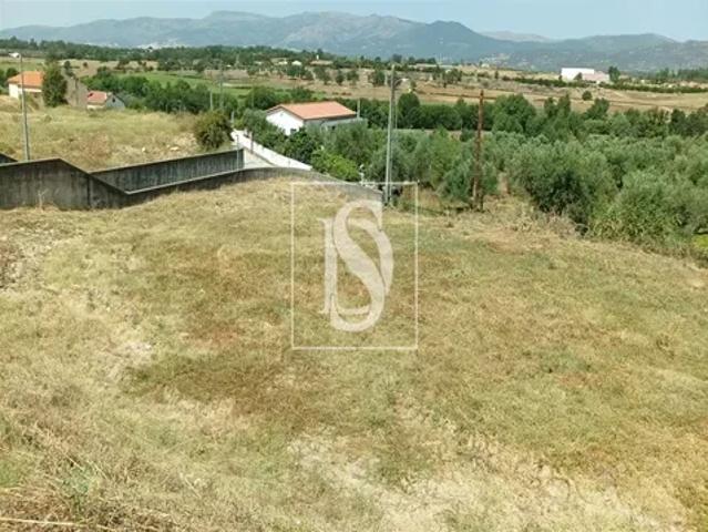 Castelo Branco Belmonte 103541152