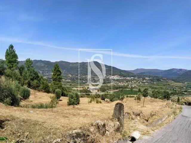 Castelo Branco Belmonte 103558789
