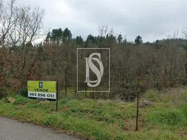 Castelo Branco Belmonte 103558294