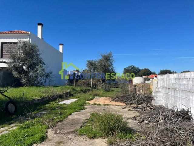 Castelo Branco Castelo Branco 6005 LS99411541