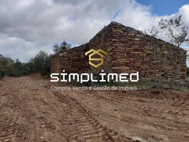 Castelo Branco Castelo Branco 6005 LS99505695